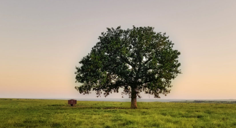 肩負重(zhong)擔 推動(dòng)我(wo)國(guo)經(jing)濟、社(she))會<br>環境全面協調可(kě)持續髮(fa)展(zhan)